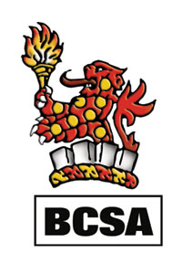British Constructional Steelwork Association